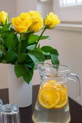 Apart Daire, 2 Yatak Odası, Teras