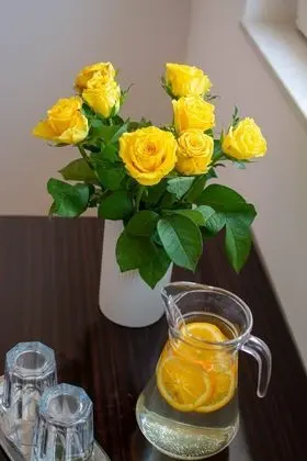 Apart Daire, 2 Yatak Odası, Teras