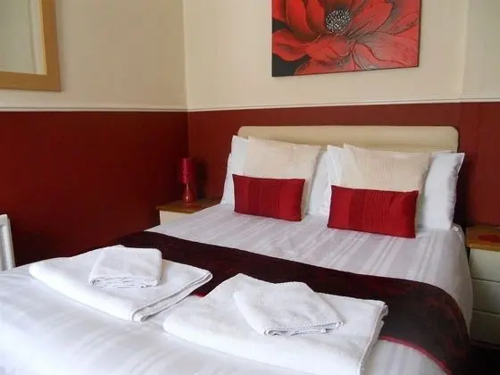 Tek Büyük Yataklı Oda, Banyolu/Duşlu (Room 6)