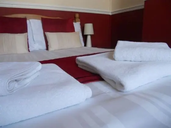 Tek Büyük Yataklı Oda, Banyolu/Duşlu (Room 6)