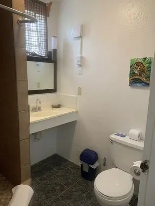Standard Oda, 1 Büyük (Queen) Boy Yatak, Buzdolabı, Avlu Manzaralı