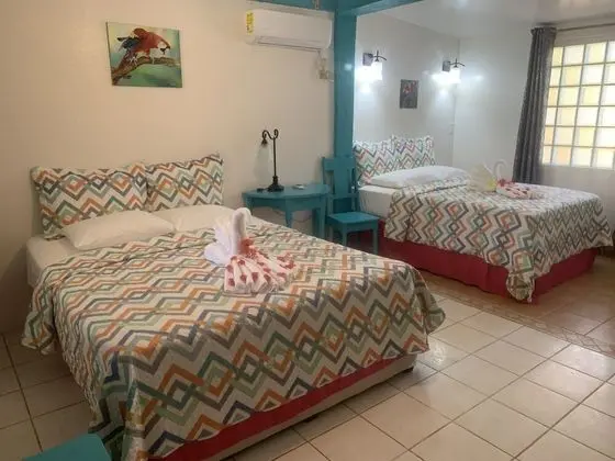Standard Tek Büyük veya İki Ayrı Yataklı Oda, 2 Büyük (Queen) Boy Yatak, Buzdolabı, Avlu Manzaralı