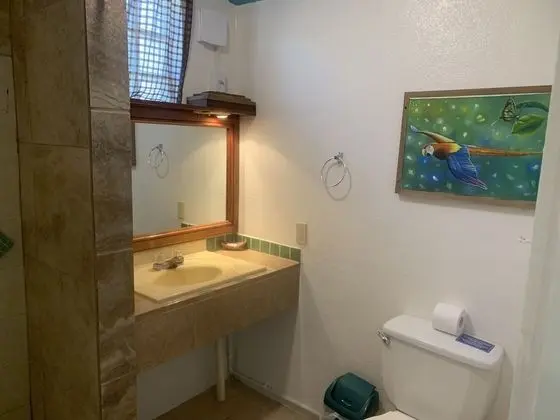 Standard Tek Büyük veya İki Ayrı Yataklı Oda, 2 Büyük (Queen) Boy Yatak, Buzdolabı, Avlu Manzaralı