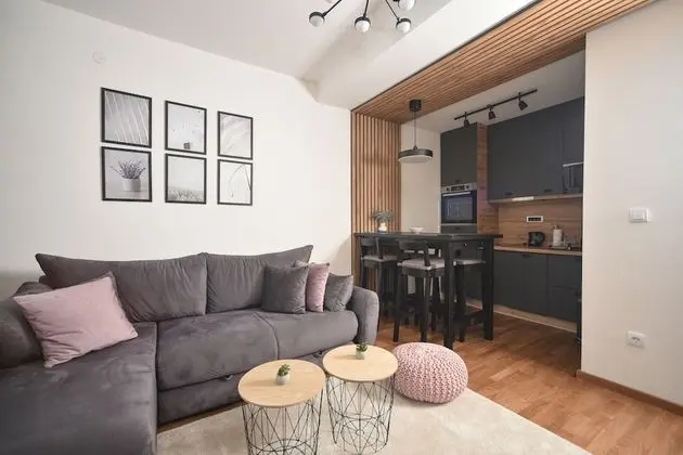 Premium Apart Daire, 1 Büyük (Queen) Boy Yatak ve Çekyat