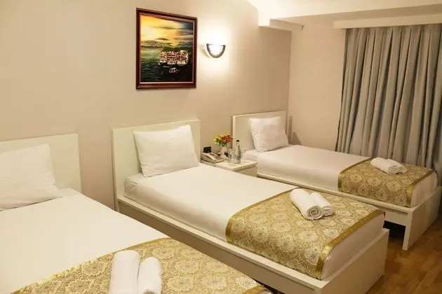 Standard Üç Kişilik Oda, 3 Tek Kişilik Yatak, Şehir Manzaralı
