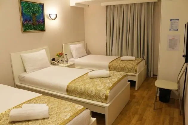 Standard Üç Kişilik Oda, 3 Tek Kişilik Yatak, Şehir Manzaralı