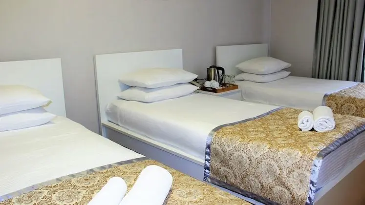 Standard Üç Kişilik Oda, 3 Tek Kişilik Yatak, Şehir Manzaralı