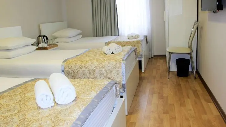 Standard Üç Kişilik Oda, 3 Tek Kişilik Yatak, Şehir Manzaralı