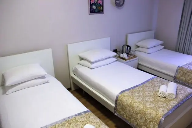 Standard Üç Kişilik Oda, 3 Tek Kişilik Yatak, Şehir Manzaralı