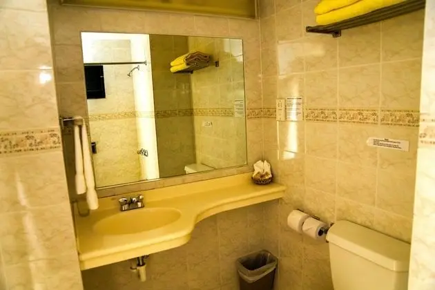 Standard Oda, 1 En Büyük (King) Boy Yatak, Bahçe Manzaralı