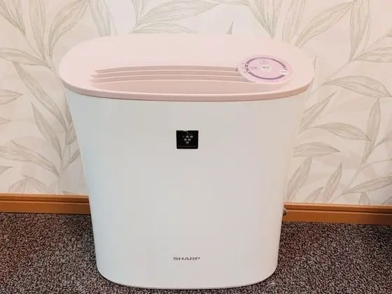 İki Ayrı Yataklı Oda, Özel Banyo (202)