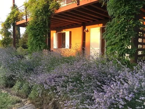 Apart Daire, 2 Yatak Odası (Bibbona)