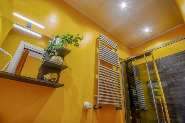 Standard Tek Büyük Yataklı Oda, 1 En Büyük (King) Boy Yatak, Şehir Manzaralı