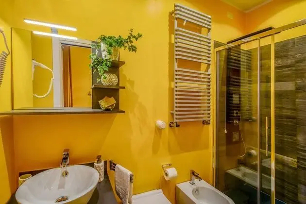 Standard Tek Büyük Yataklı Oda, 1 En Büyük (King) Boy Yatak, Şehir Manzaralı