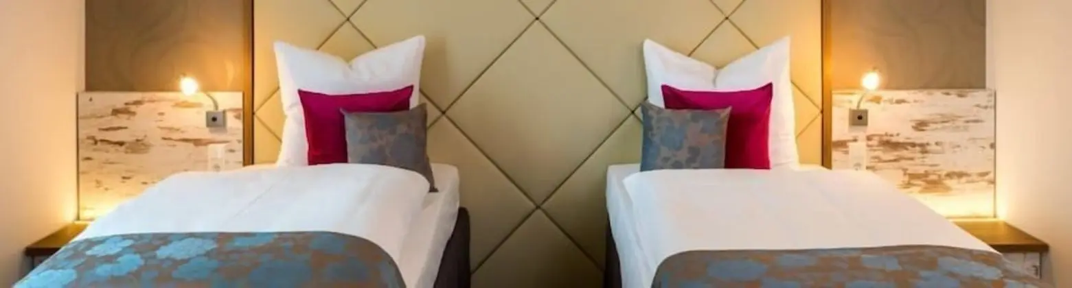 Deluxe Tek Büyük veya İki Ayrı Yataklı Oda