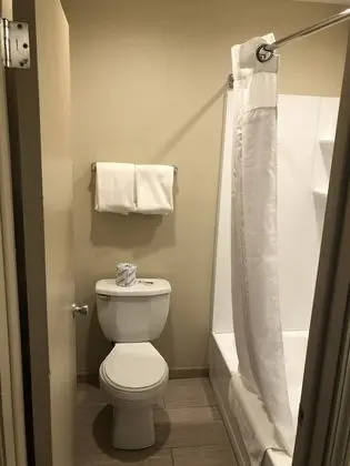 Standard Tek Büyük Yataklı Oda, 2 Çift Kişilik Yatak