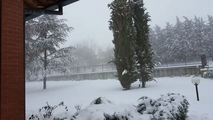 Tek Büyük Yataklı Oda, Bahçe Manzaralı