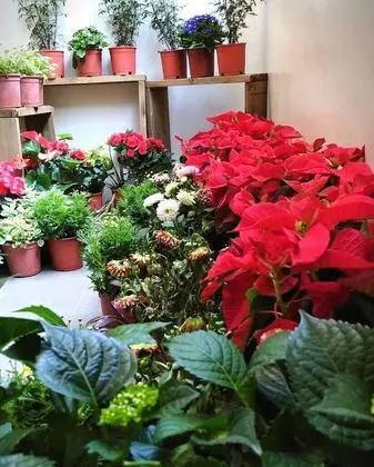 Standard Tek Büyük Yataklı Oda, Ortak Banyo (3)