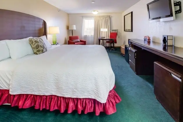 Deluxe Tek Kişilik Oda, 1 En Büyük (King) Boy Yatak, Sigara İçilmez