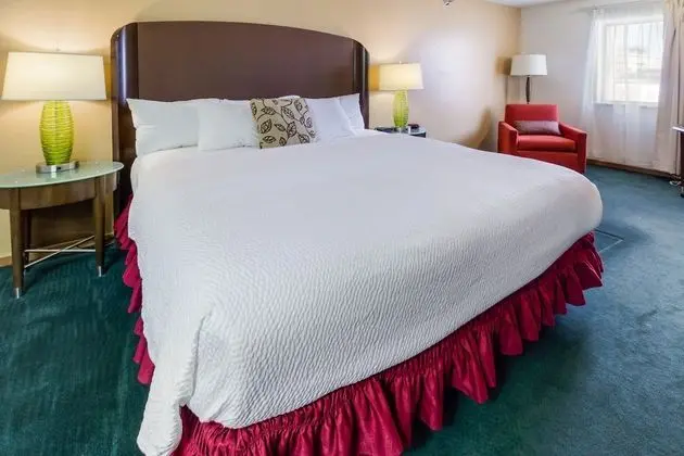 Deluxe Tek Kişilik Oda, 1 En Büyük (King) Boy Yatak, Sigara İçilmez