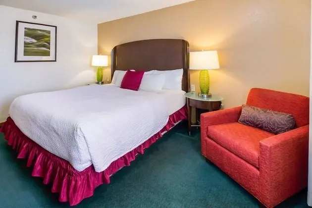 Deluxe Tek Kişilik Oda, 1 En Büyük (King) Boy Yatak, Sigara İçilmez