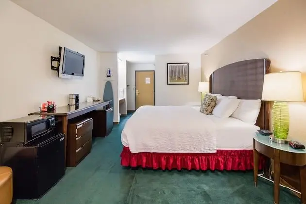 Deluxe Tek Kişilik Oda, 1 En Büyük (King) Boy Yatak, Sigara İçilmez