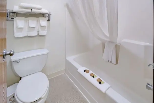 Deluxe Tek Kişilik Oda, 1 En Büyük (King) Boy Yatak, Sigara İçilmez