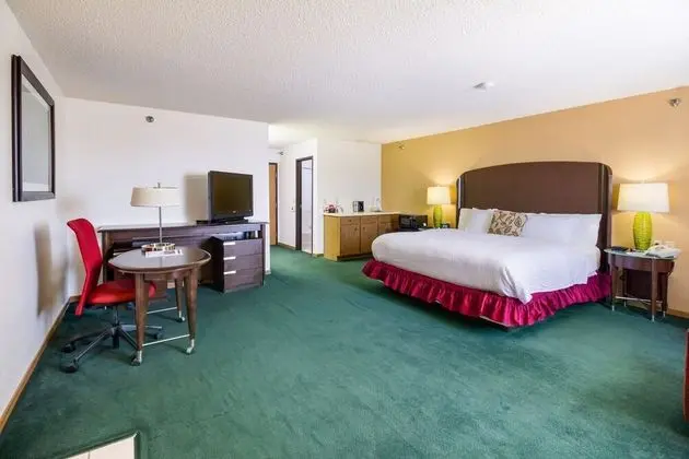 Luxury Stüdyo Süit, 1 En Büyük (King) Boy Yatak, Sigara İçilmez, Sıcak Su Küveti