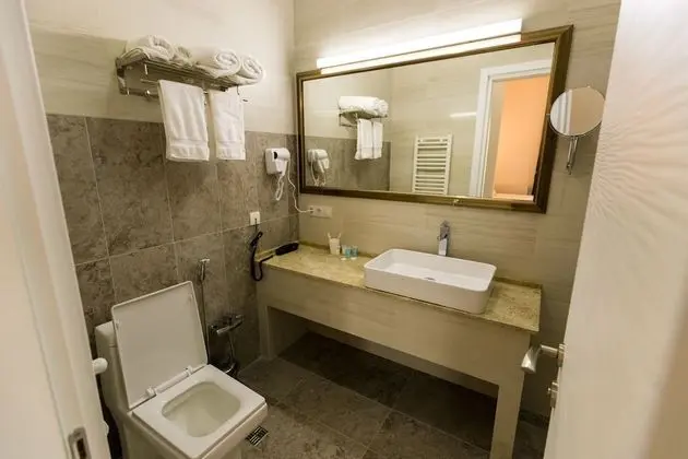 Elite Süit, 1 Büyük (Queen) Boy Yatak, Balkon, Şehir Manzaralı