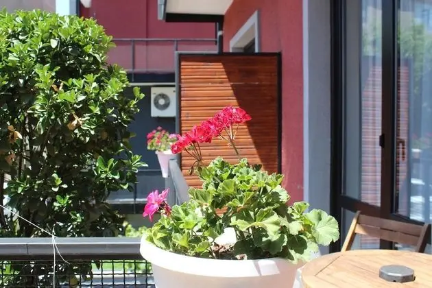 Standard Tek Büyük Yataklı Oda, 1 Çift Kişilik Yatak, Balkon, Şehir Manzaralı