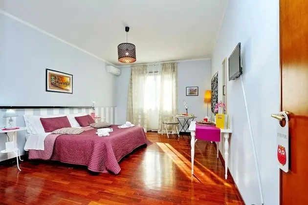 Superior Tek Büyük Yataklı Oda, 1 Yatak Odası, Ortak Banyo, Şehir Manzaralı