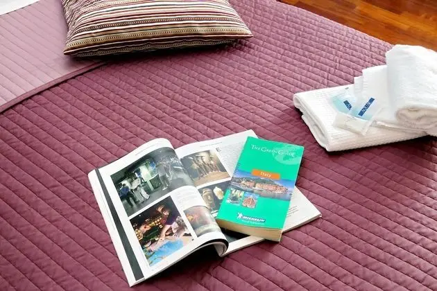 Superior Tek Büyük Yataklı Oda, 1 Yatak Odası, Ortak Banyo, Şehir Manzaralı