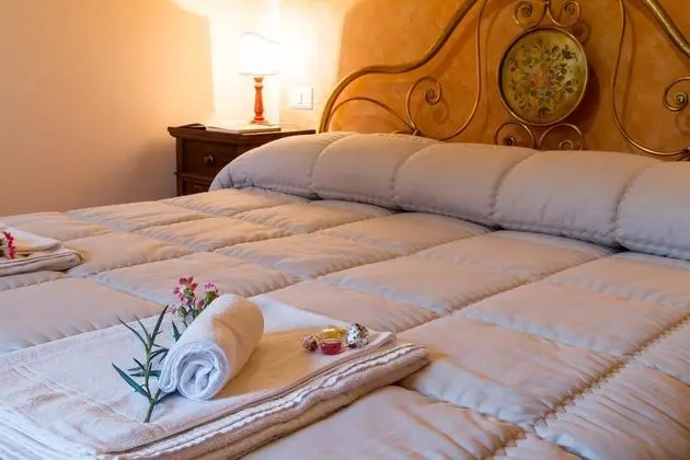 Comfort Tek Büyük Yataklı Oda, 1 Büyük (Queen) Boy Yatak, Banyolu/Duşlu, Park Manzaralı