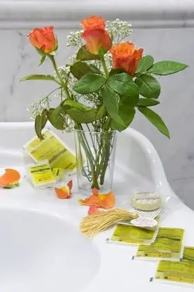 Tek Kişilik Oda, Özel Banyo (Topazio)