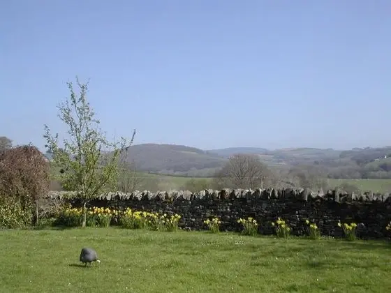 Dört Kişilik Oda, Banyolu/Duşlu (The Farmhouse)