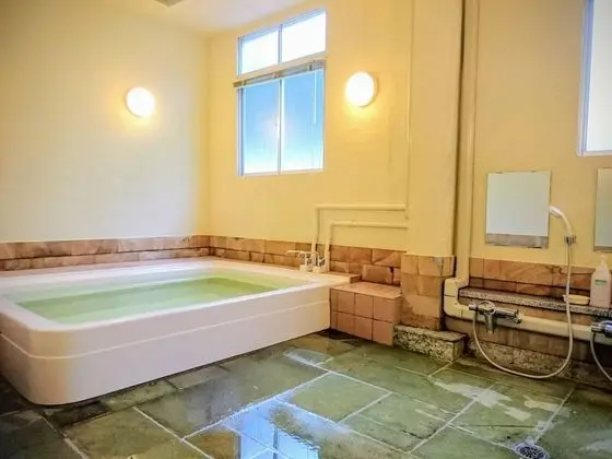 Traditional Tek Kişilik Oda, Ortak Banyo (Japanese-Style)