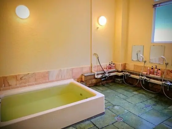 Traditional Tek Kişilik Oda, Ortak Banyo (Japanese-Style)