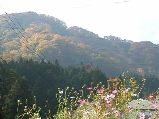 Traditional Tek Kişilik Oda, Ortak Banyo (Japanese-Style)
