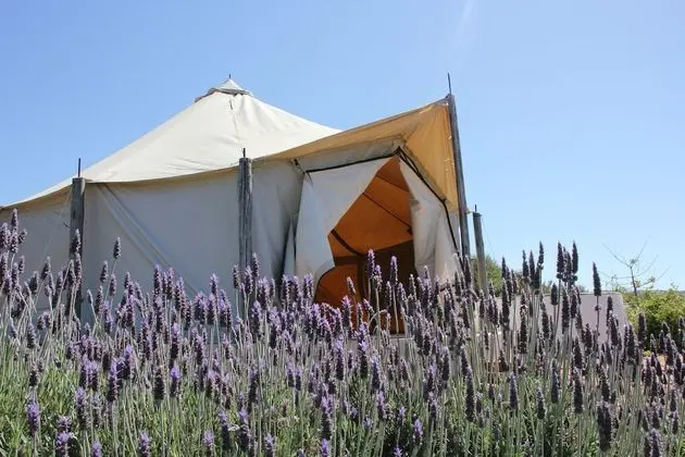 Glamping Tent with Private Jacuzzi 3