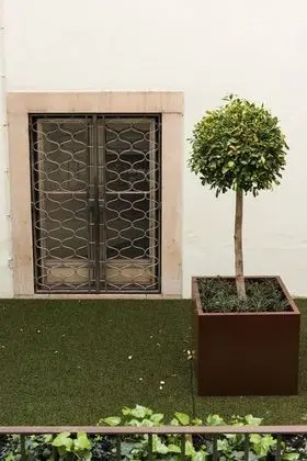 Deluxe Üç Kişilik Oda (Interior Patio View)