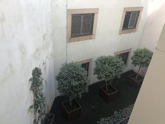 Deluxe Üç Kişilik Oda (Interior Patio View)