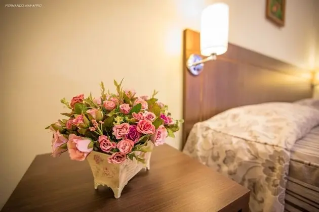 Deluxe Apart Daire, 1 Tek Kişilik Yatak, Sigara İçilmez