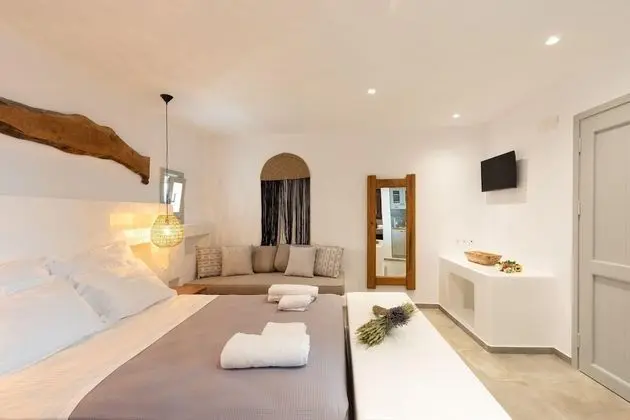 Villa, Engellilere Uygun