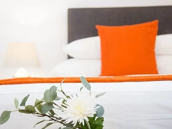 Classic Tek Büyük Yataklı Oda, Banyolu/Duşlu (Mountain Room 103)