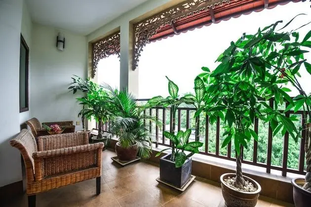 Deluxe Twin - Balcony