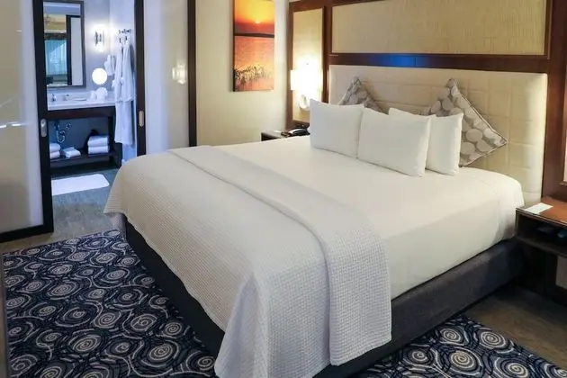 Junior Spa King Suite