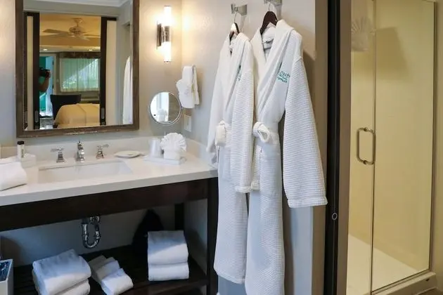 Junior Spa King Suite