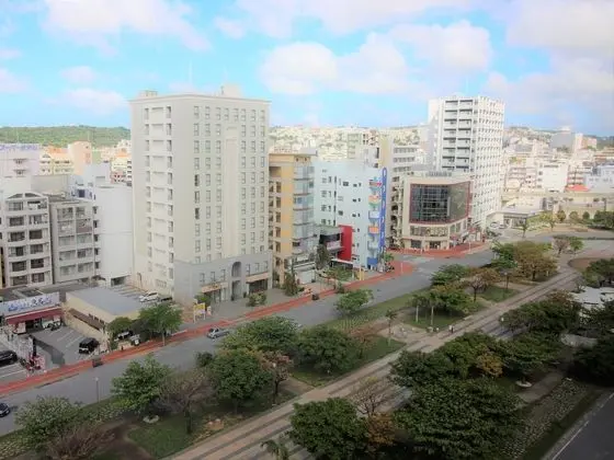 Standard Tek Kişilik Oda, 1 Çift Kişilik Yatak, Sigara İçilmez