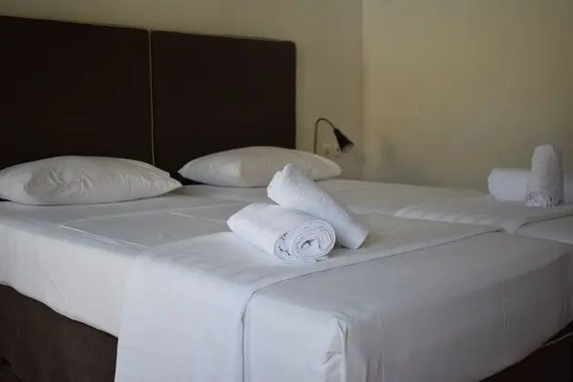 Deluxe Tek Büyük veya İki Ayrı Yataklı Oda, Havuz Manzaralı