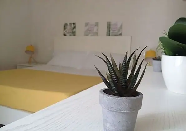 Design Tek Büyük Yataklı Oda